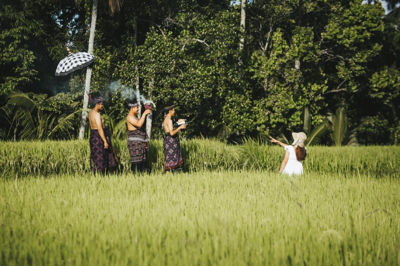 Sunshine Bed & Breakfast Ubud